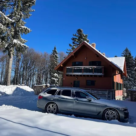 On The Slope Pohorje 11 *