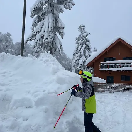 On The Slope Pohorje 11