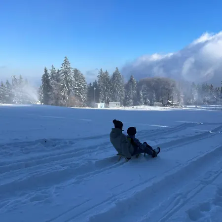 On The Slope Pohorje 11 *