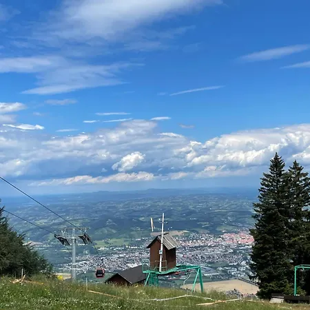 On The Slope Pohorje 11