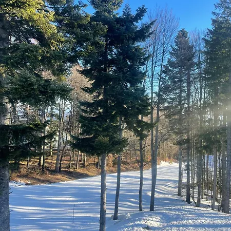 Apartman On The Slope Pohorje 11 *