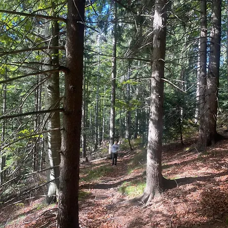 On The Slope Pohorje 11 Apartman Hocko Pohorje