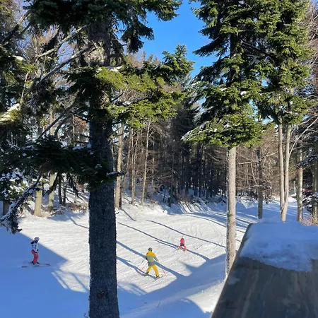 On The Slope Pohorje 11 Apartman