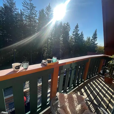 On The Slope Pohorje 11 *