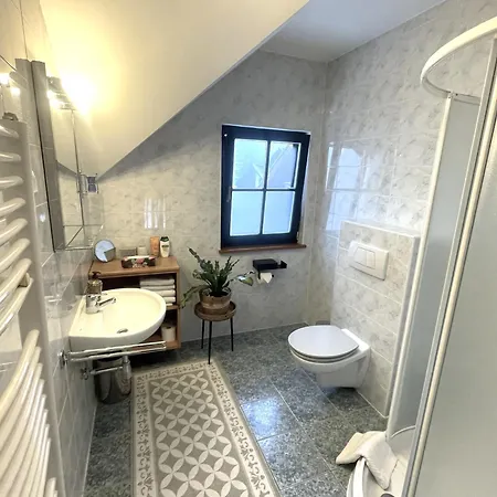 On The Slope Pohorje 11