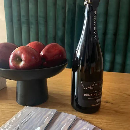 On The Slope Pohorje 11 Hocko Pohorje