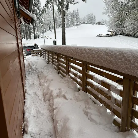 On The Slope Pohorje 11 * Hocko Pohorje