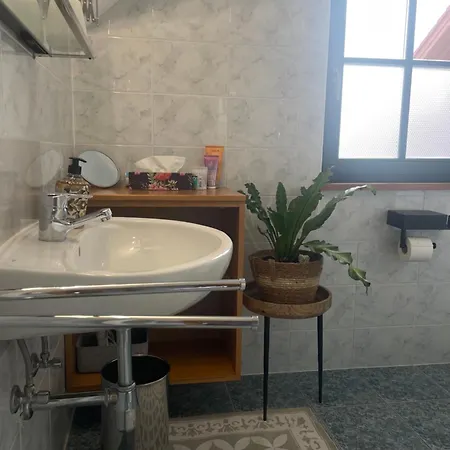 On The Slope Pohorje 11 * הוקו פורז'ה