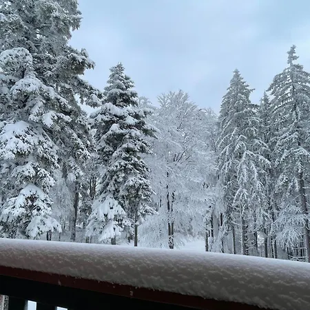 On The Slope Pohorje 11 Apartment Hočko Pohorje