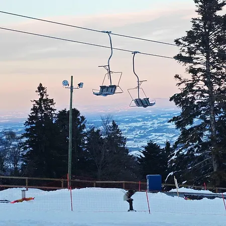 On The Slope Pohorje 11 *