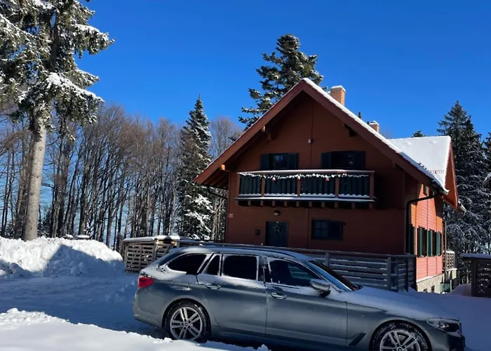 On The Slope Pohorje 11 *