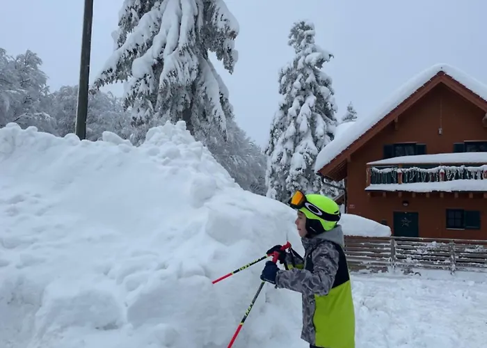 On The Slope Pohorje 11