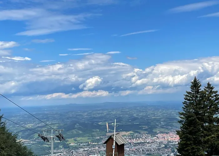 On The Slope Pohorje 11