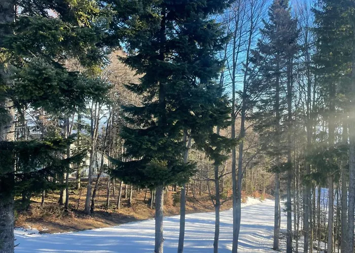 アパート On The Slope Pohorje 11 *