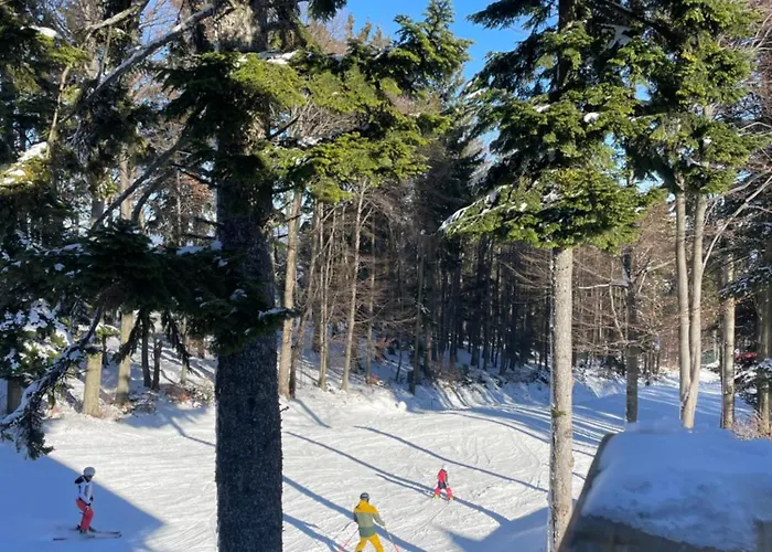 On The Slope Pohorje 11 アパート