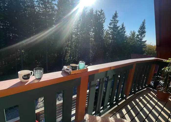 On The Slope Pohorje 11 *