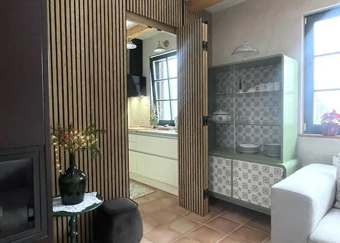 On The Slope Pohorje 11 ホコ・ポホリェ