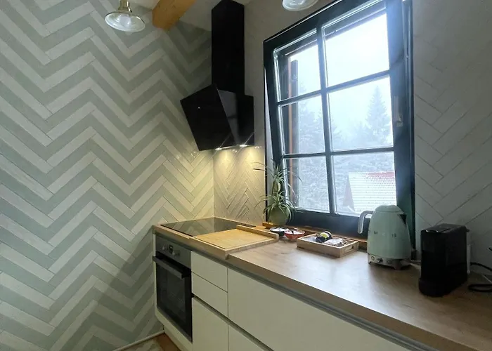 On The Slope Pohorje 11 * ホコ・ポホリェ