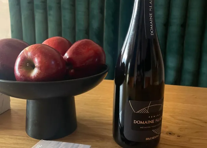 On The Slope Pohorje 11 ホコ・ポホリェ