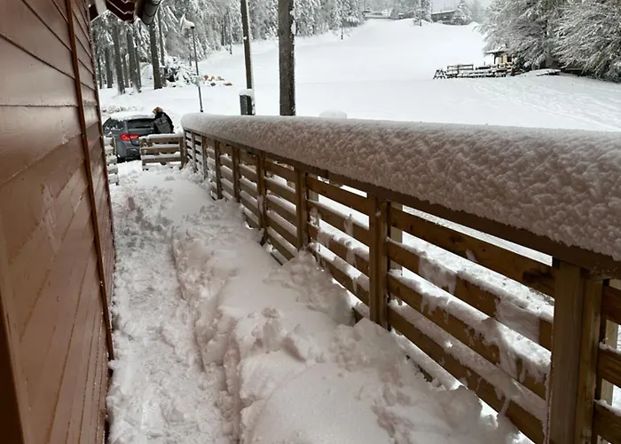 On The Slope Pohorje 11 * ホコ・ポホリェ