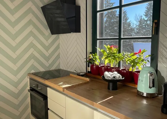 On The Slope Pohorje 11 アパート *