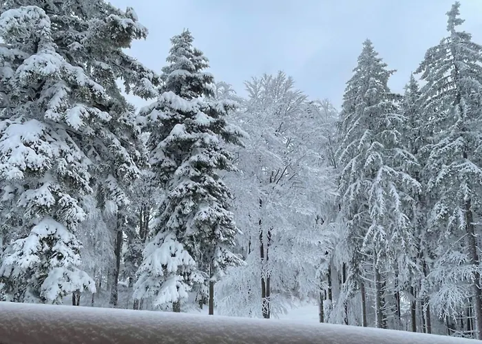 On The Slope Pohorje 11 アパート ホコ・ポホリェ